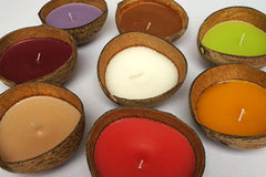 Candle in Coconut Shell Assort Colors