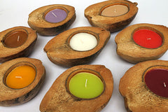 Candle in Coconut Shell (Husk) Assort Colors