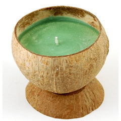 Eucalyptus Scented Candle - Planet Coconut