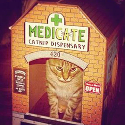 Meowses Catnip Dispensary