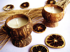 Natural Wax in Coconut Shell